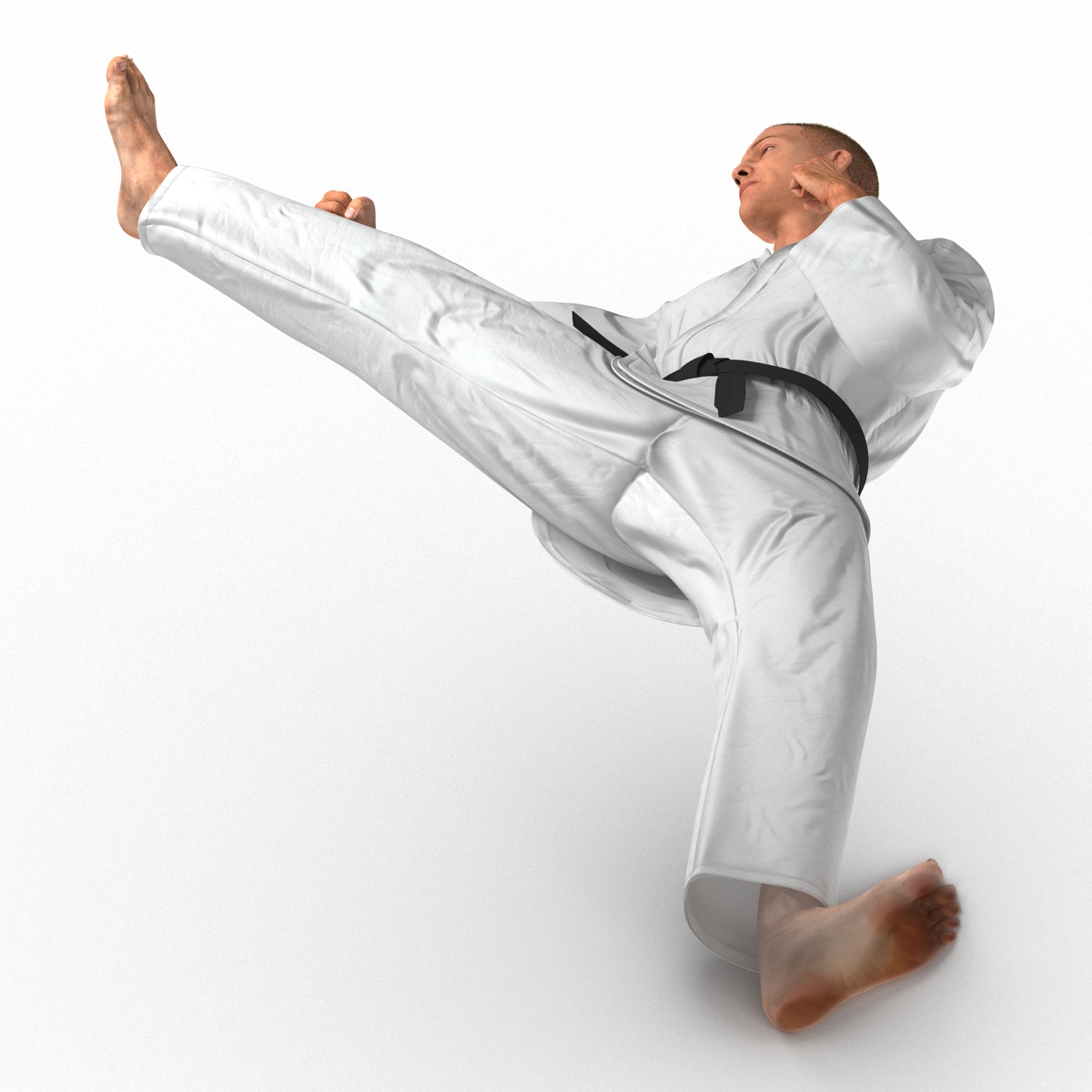 3D model Karate Fighter Pose 2 with Fur