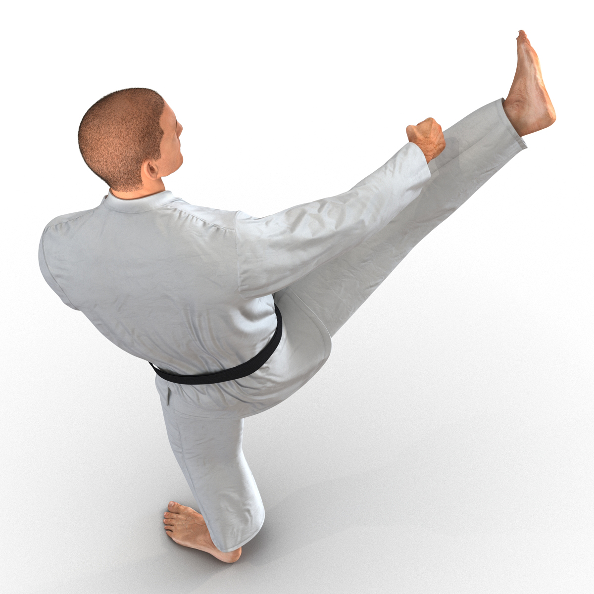 3D model Karate Fighter Pose 2 with Fur