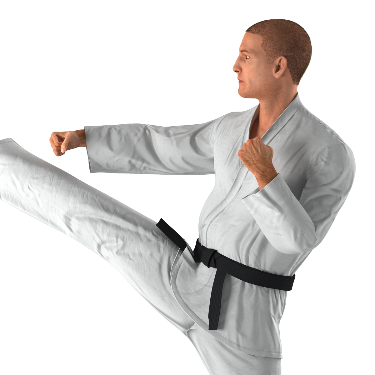 3D model Karate Fighter Pose 2 with Fur