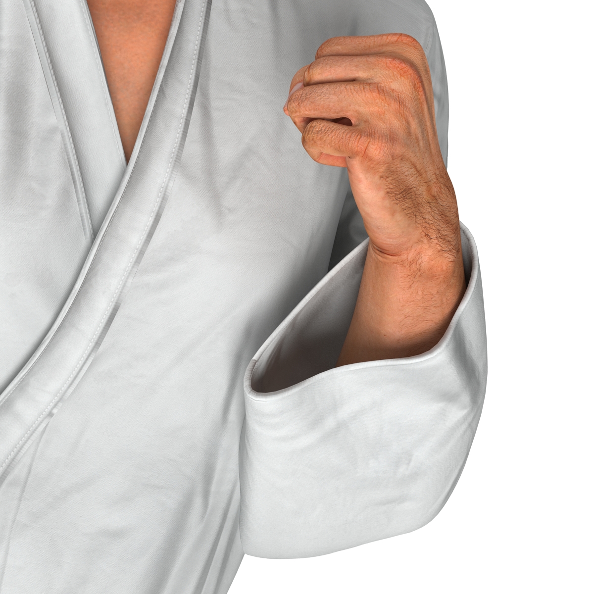 3D model Karate Fighter Pose 2 with Fur