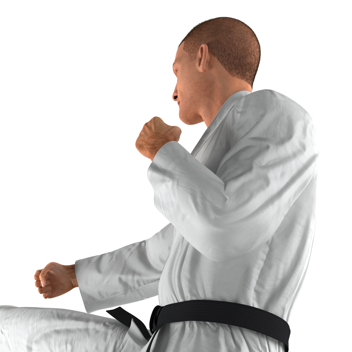 3D model Karate Fighter Pose 2 with Fur