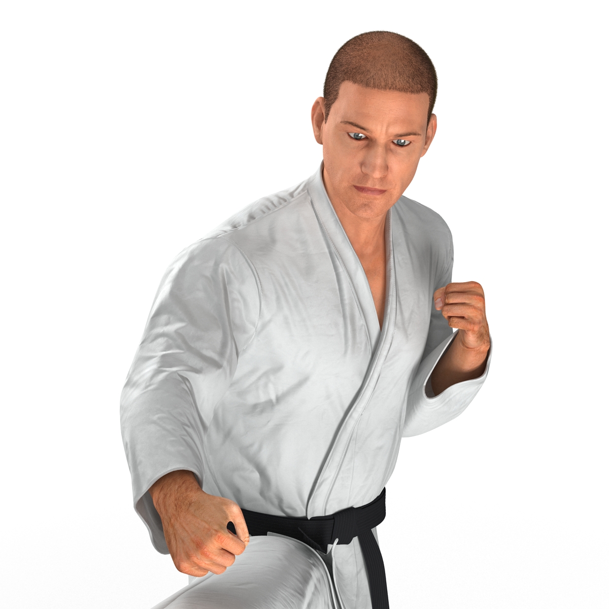 3D model Karate Fighter Pose 2 with Fur