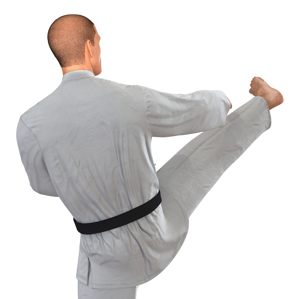 3D model Karate Fighter Pose 2 with Fur