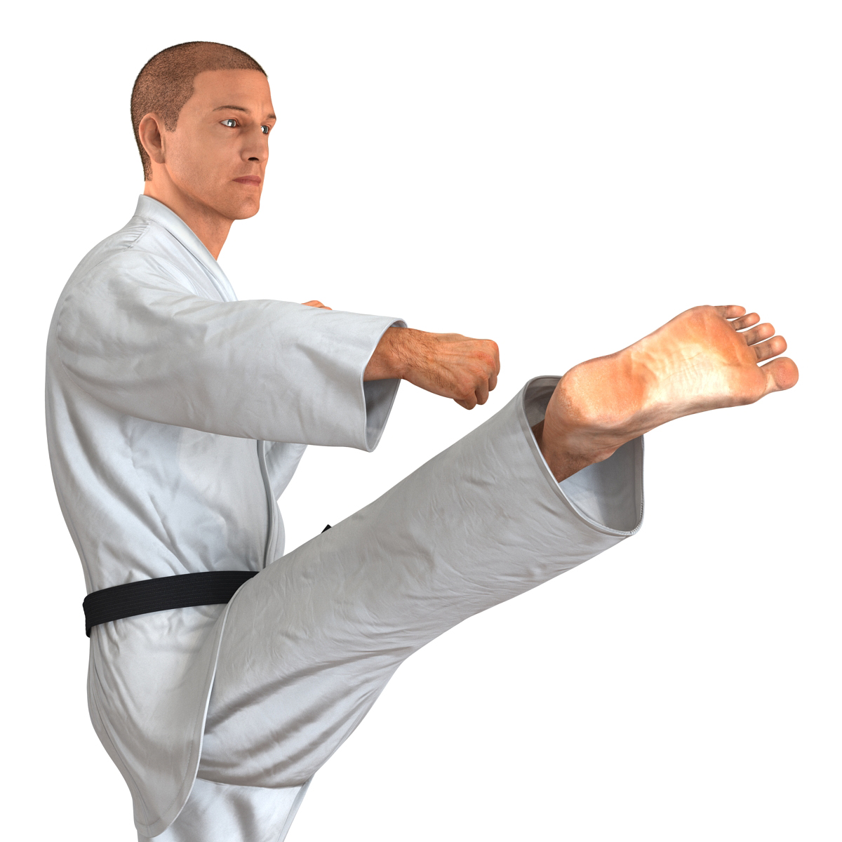 3D model Karate Fighter Pose 2 with Fur