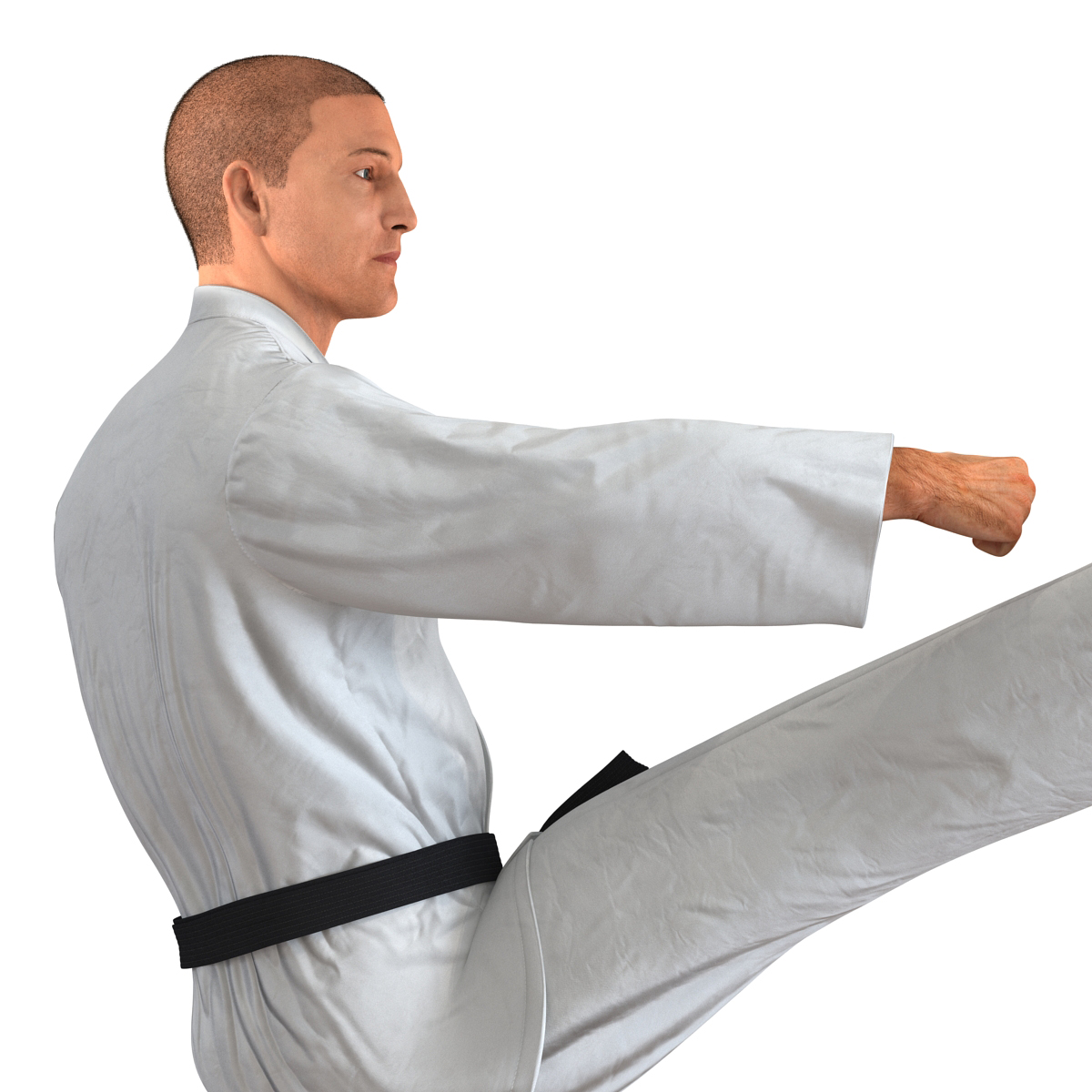 3D model Karate Fighter Pose 2 with Fur