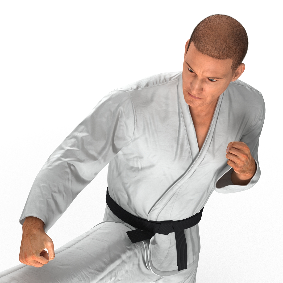 3D model Karate Fighter Pose 2 with Fur