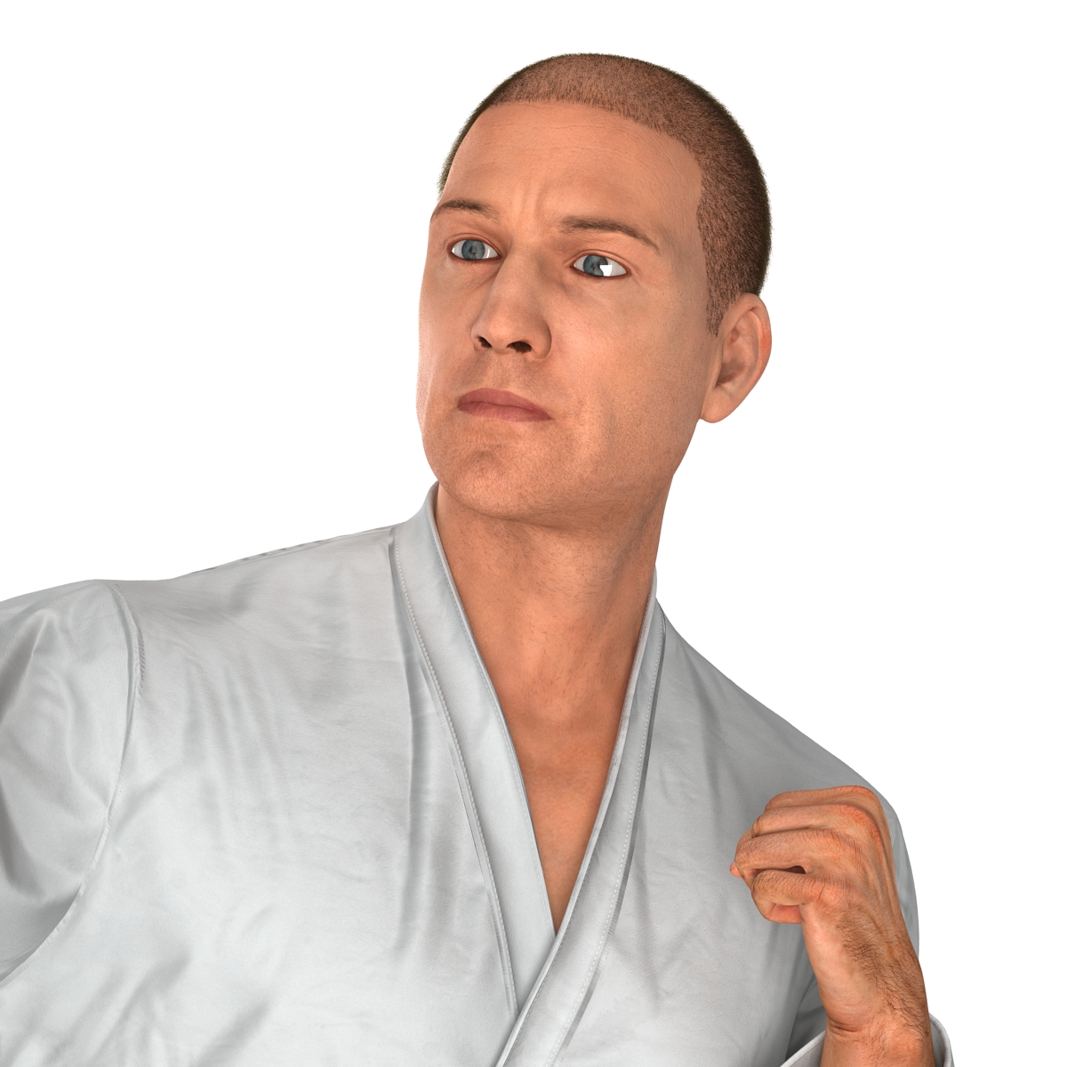 3D model Karate Fighter Pose 2 with Fur