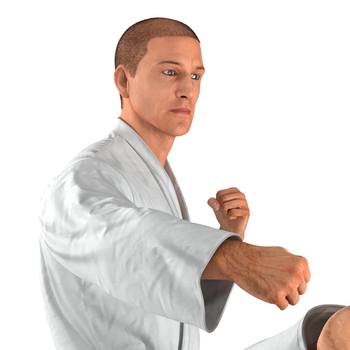 3D model Karate Fighter Pose 2 with Fur