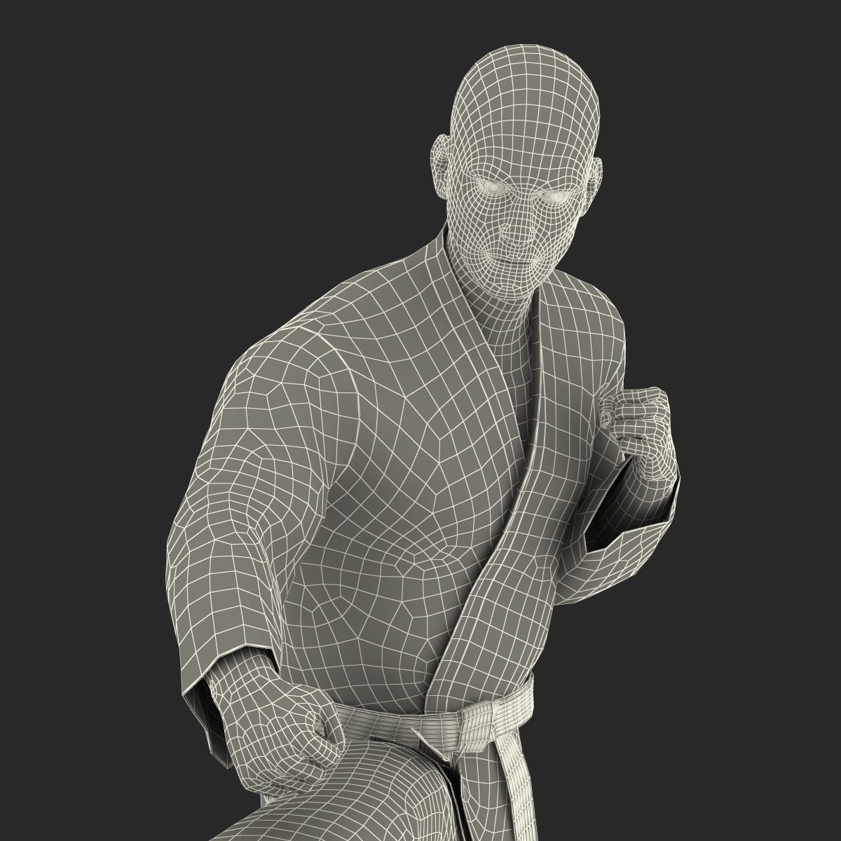 3D model Karate Fighter Pose 2 with Fur