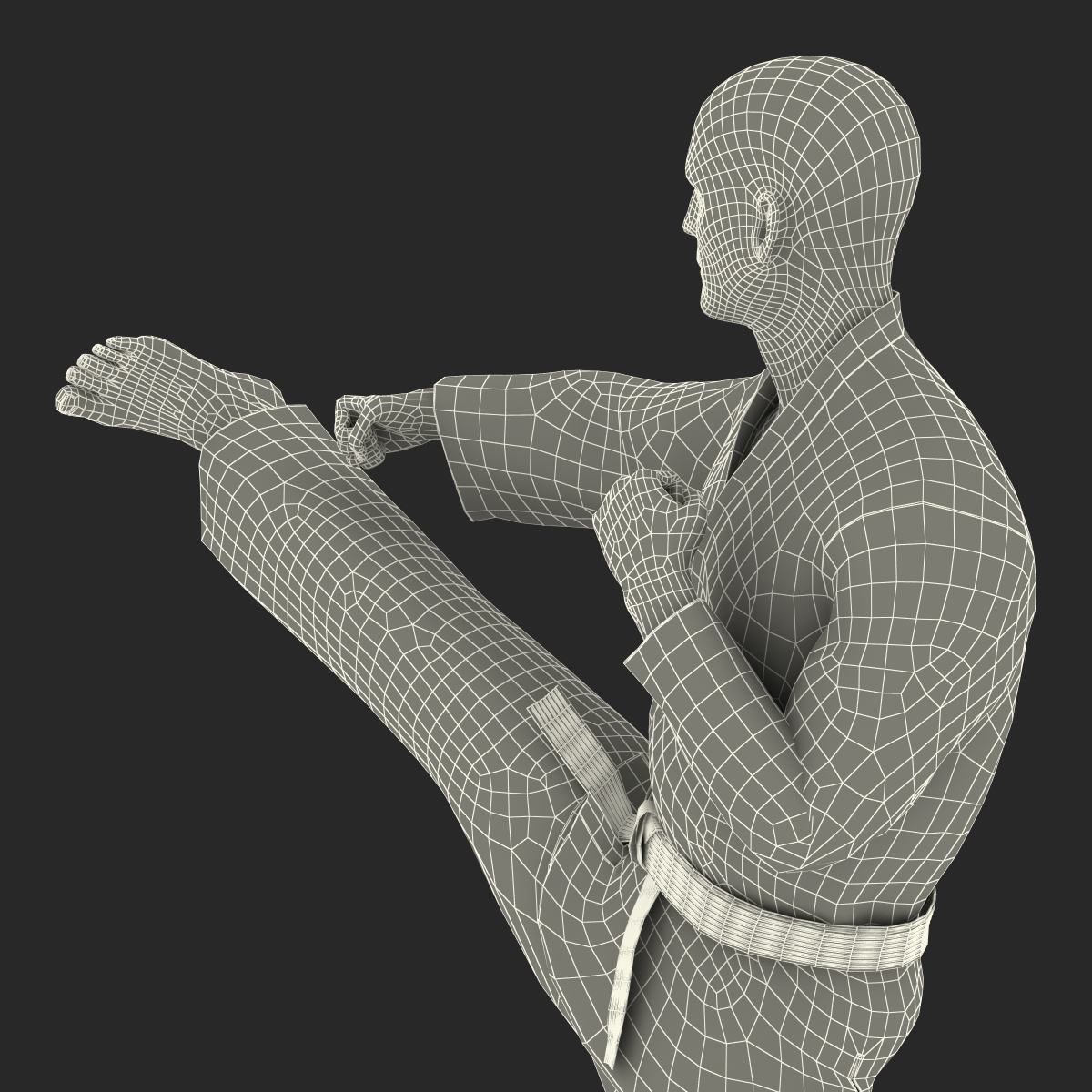 3D model Karate Fighter Pose 2 with Fur