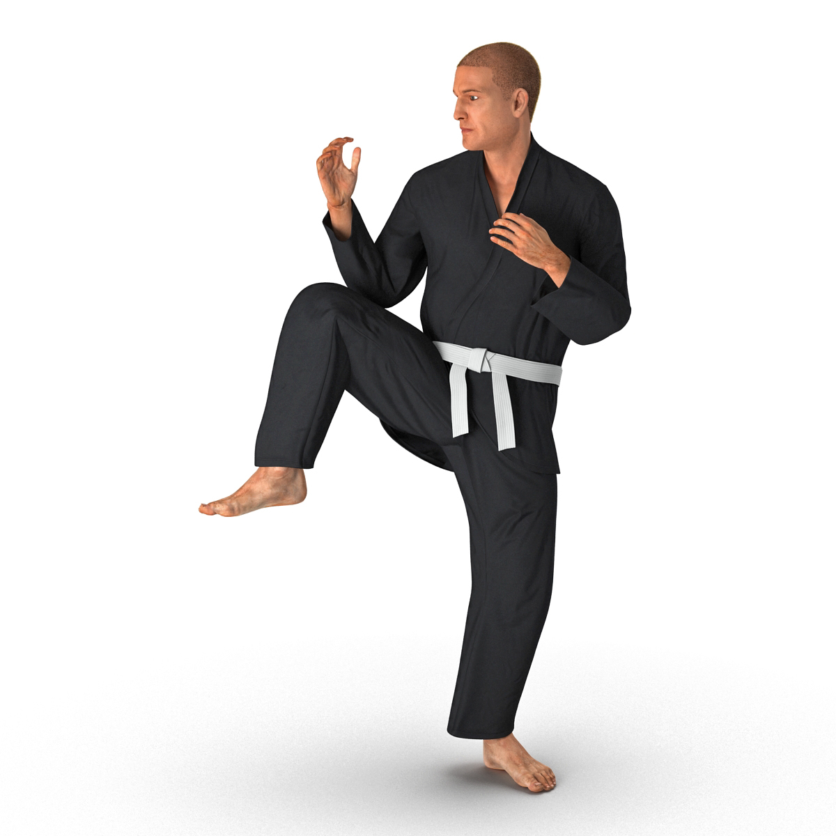 3D Karate Fighter Pose 3 Black Suit with Fur