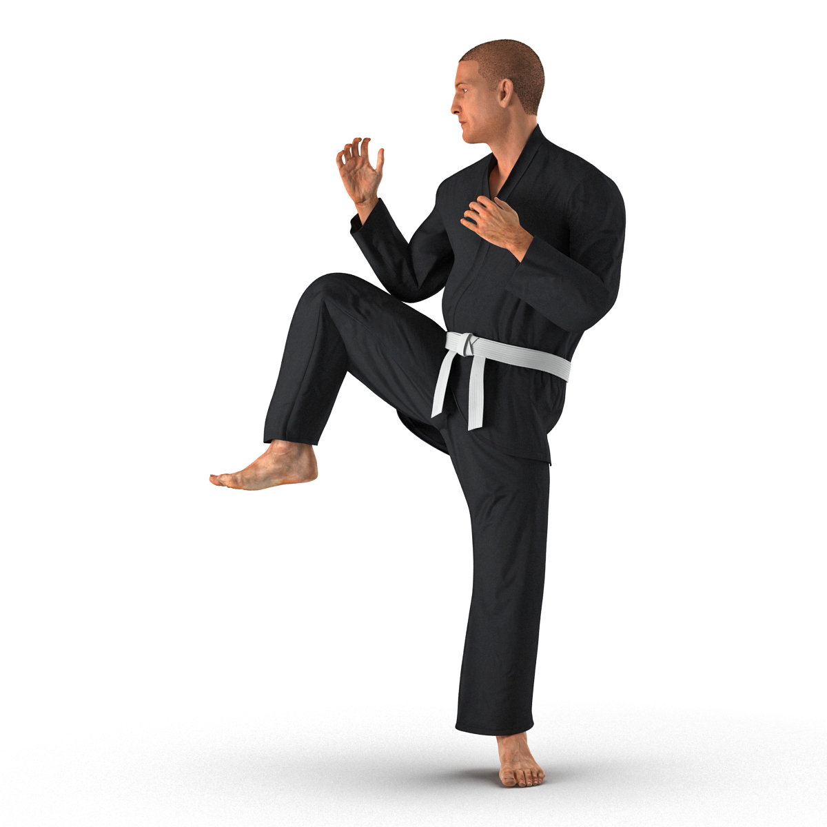 3D Karate Fighter Pose 3 Black Suit with Fur