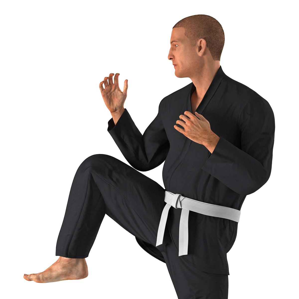 3D Karate Fighter Pose 3 Black Suit with Fur