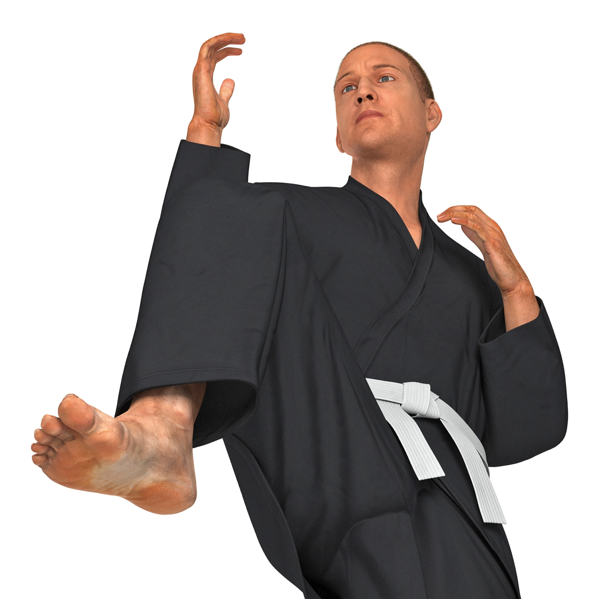 3D Karate Fighter Pose 3 Black Suit with Fur