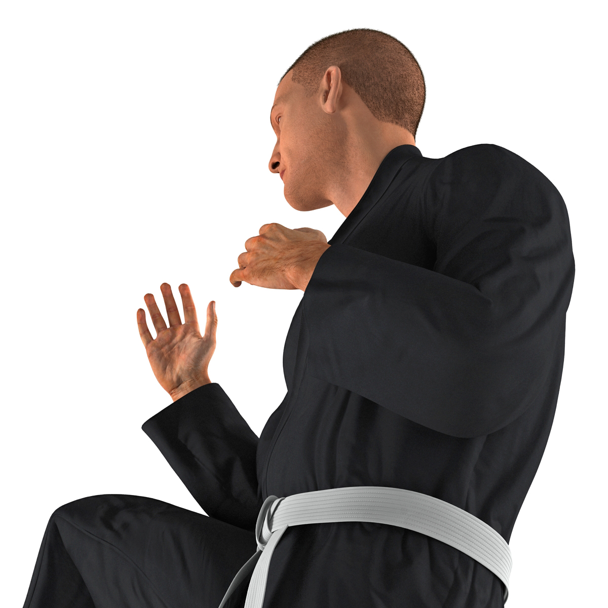 3D Karate Fighter Pose 3 Black Suit with Fur