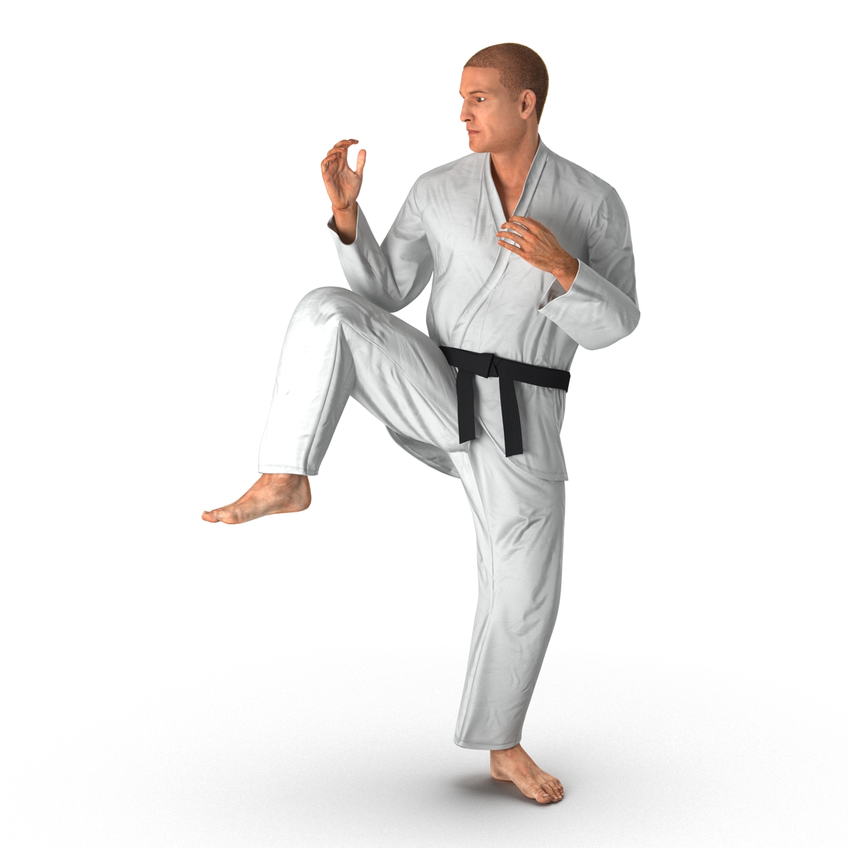 3D model Karate Fighter Pose 3 with Fur