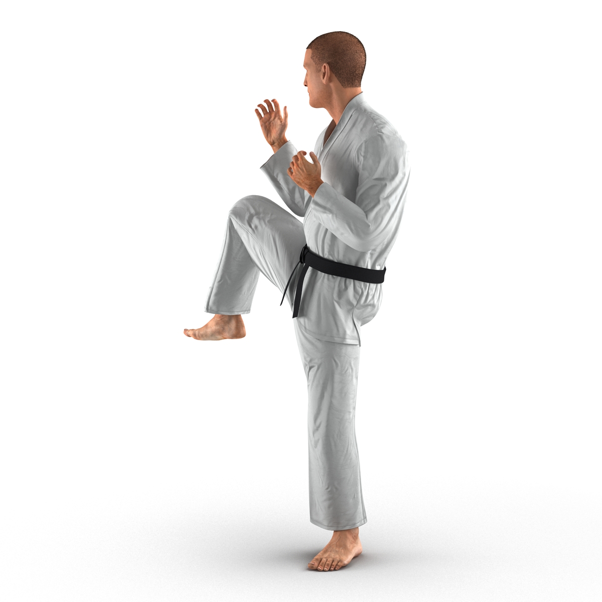 3D model Karate Fighter Pose 3 with Fur