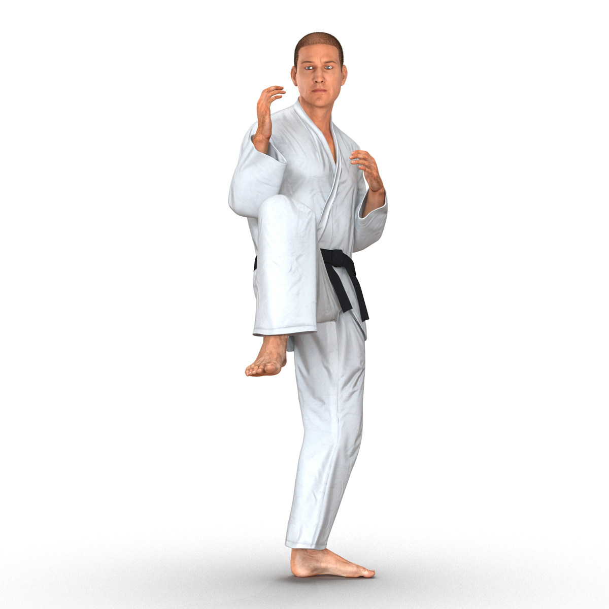 3D model Karate Fighter Pose 3 with Fur