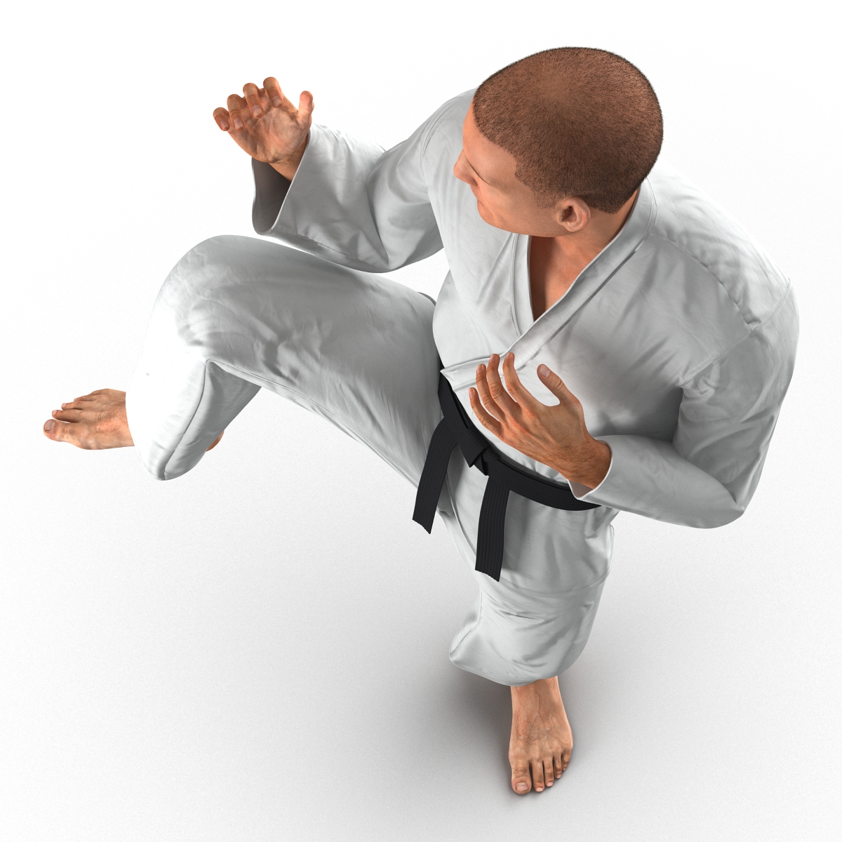 3D model Karate Fighter Pose 3 with Fur