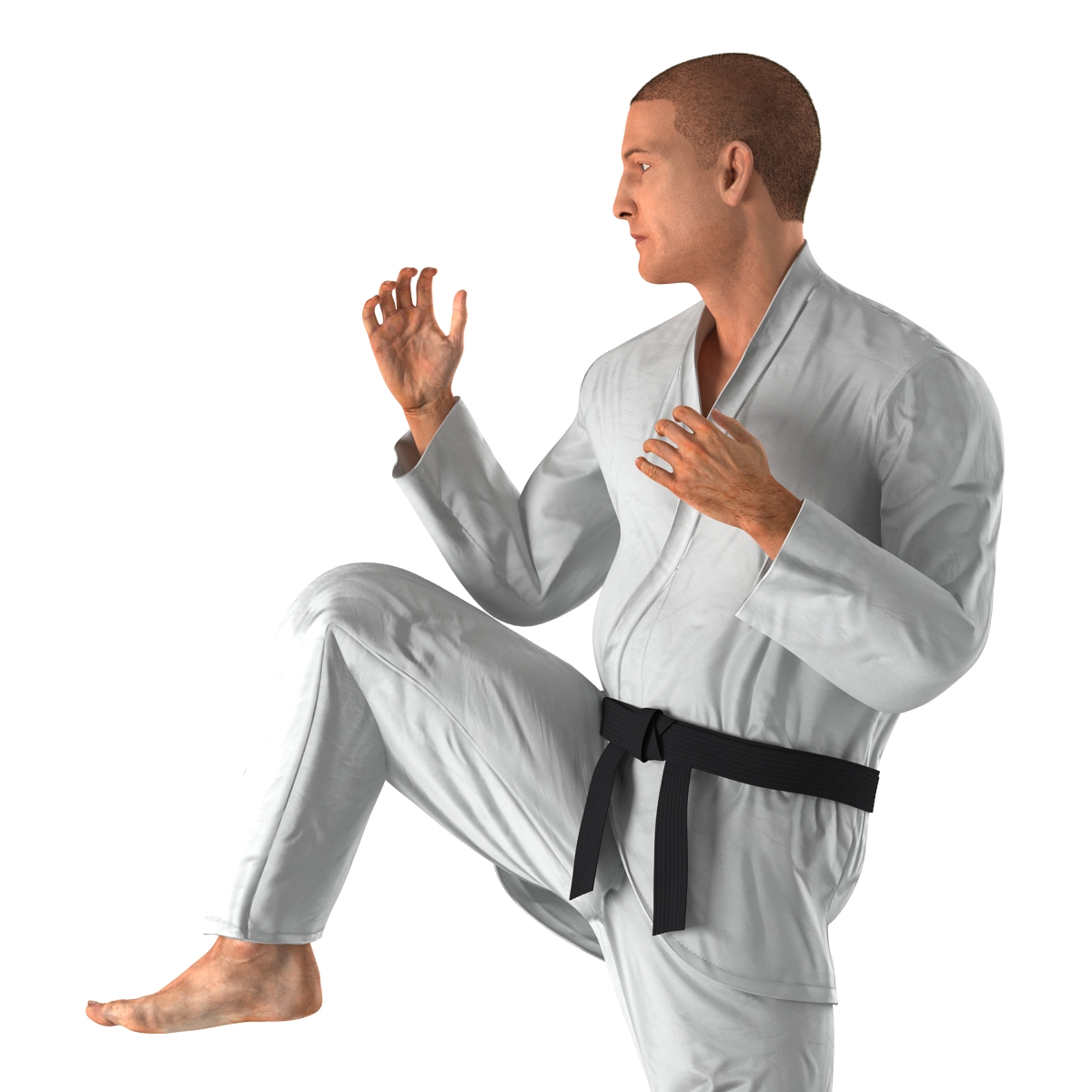 3D model Karate Fighter Pose 3 with Fur