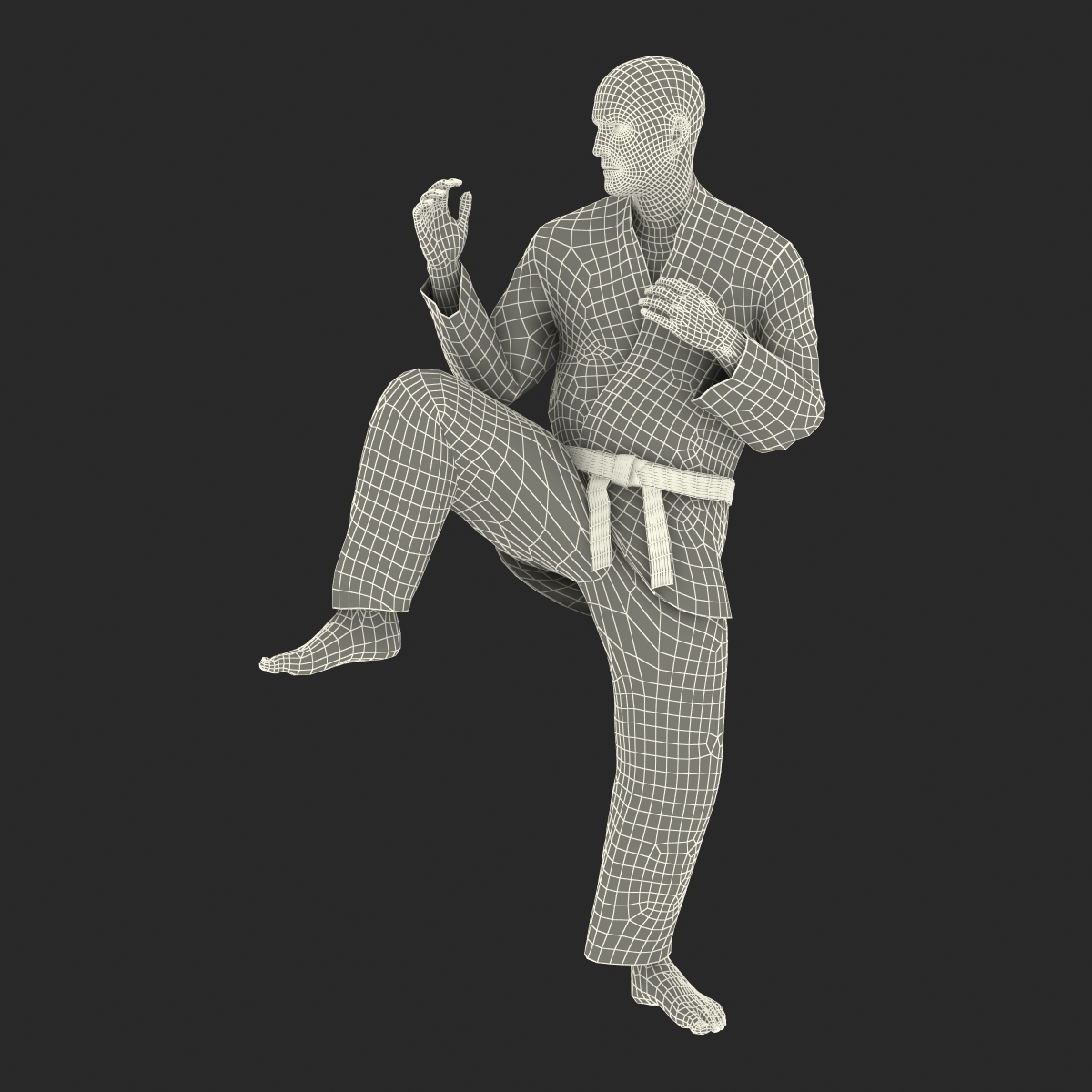 3D model Karate Fighter Pose 3 with Fur