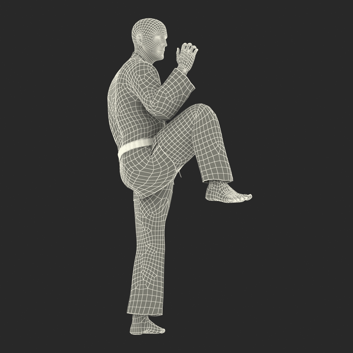 3D model Karate Fighter Pose 3 with Fur