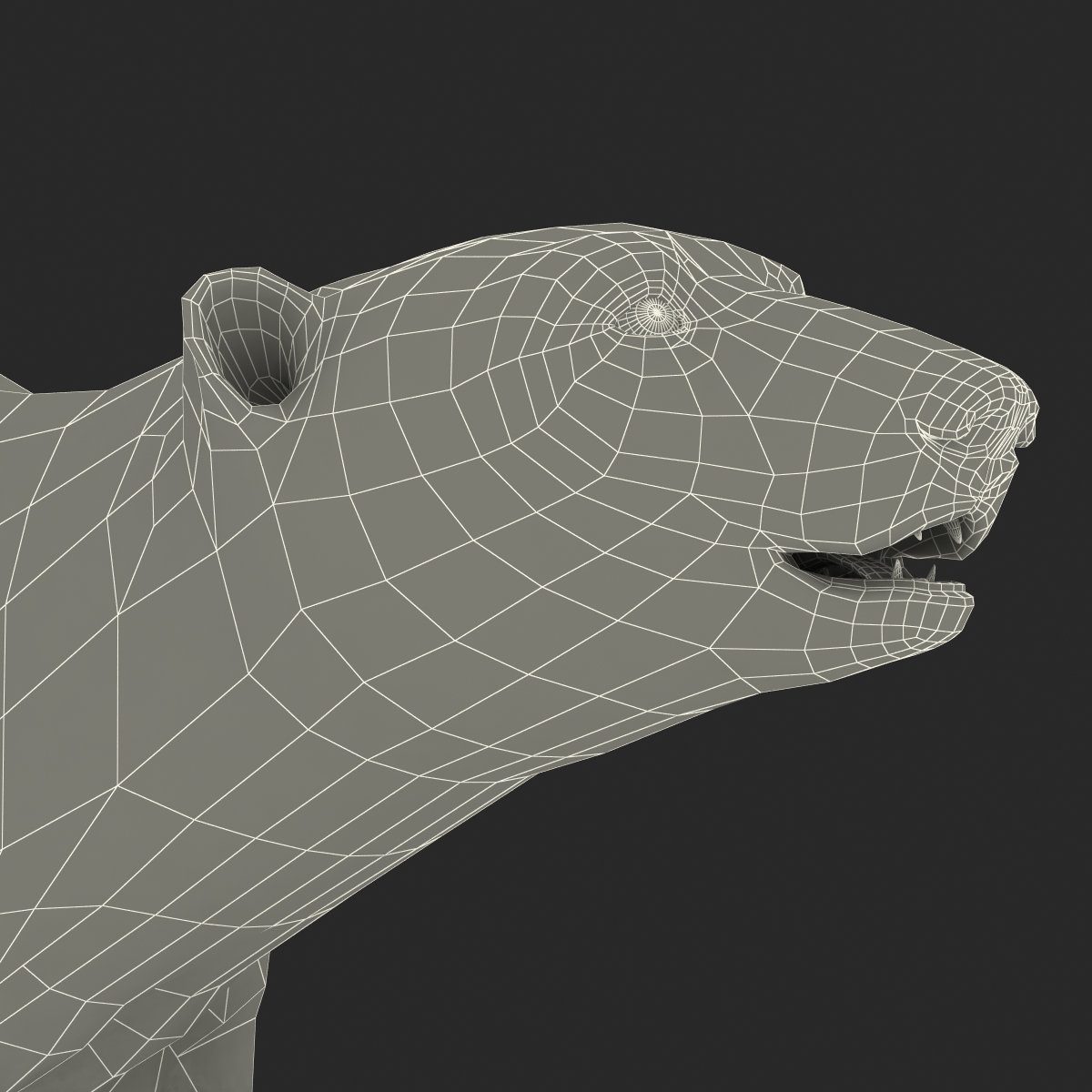 3D Polar Bear with Fur Pose 2