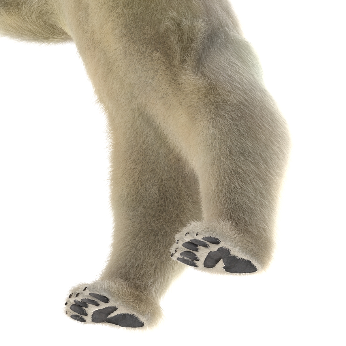 3D Polar Bear with Fur Pose 3