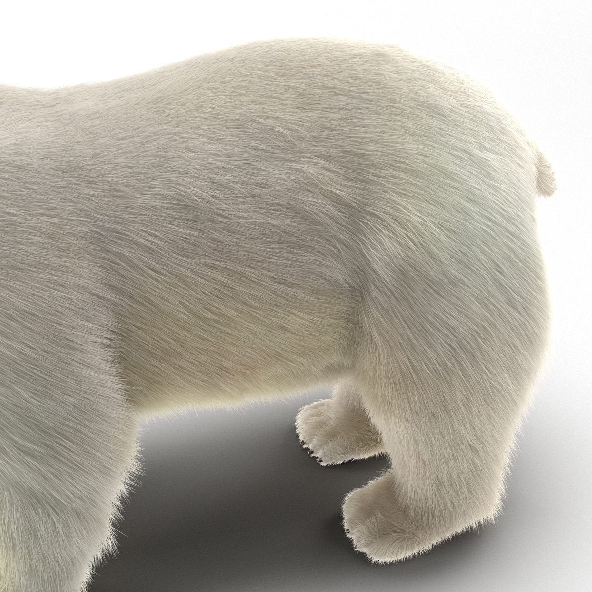 Polar Bear with Fur 3D model