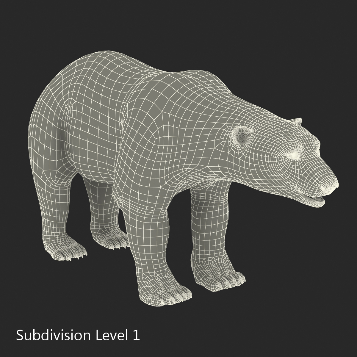 Polar Bear with Fur 3D model