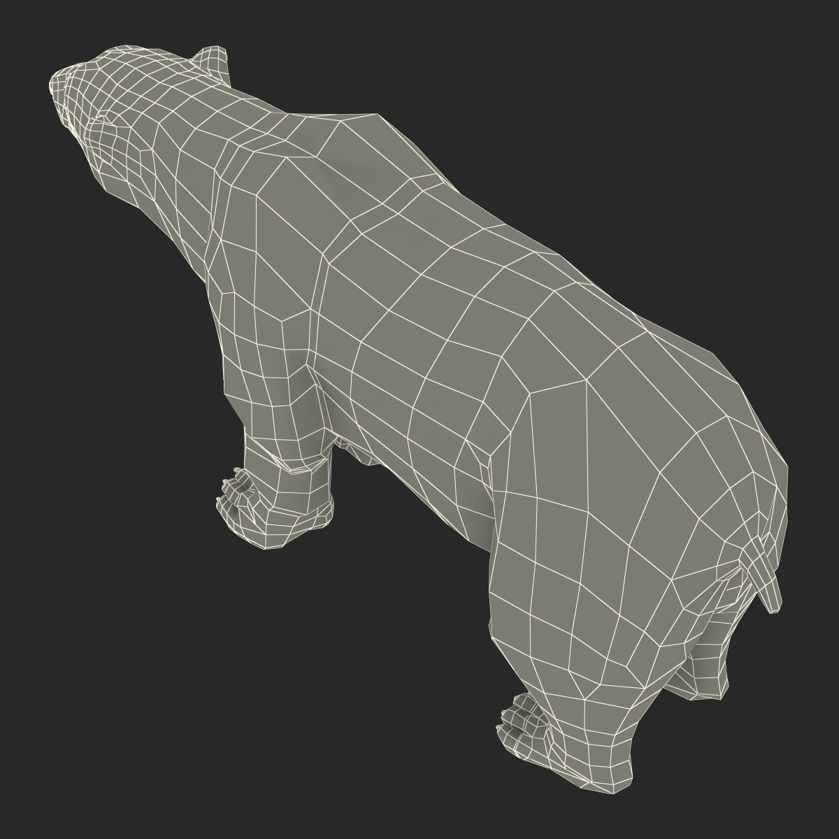 Polar Bear with Fur 3D model