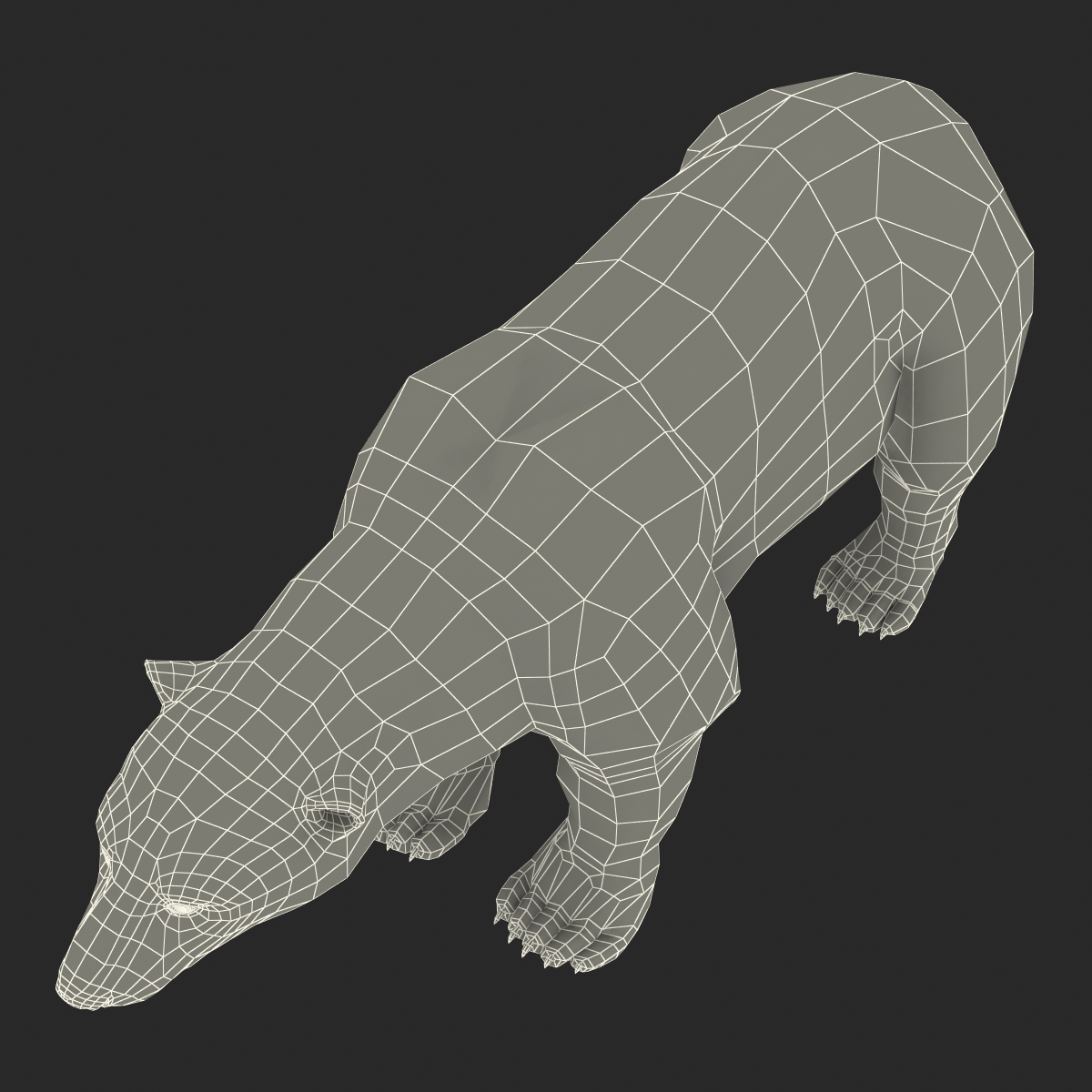 Polar Bear with Fur 3D model