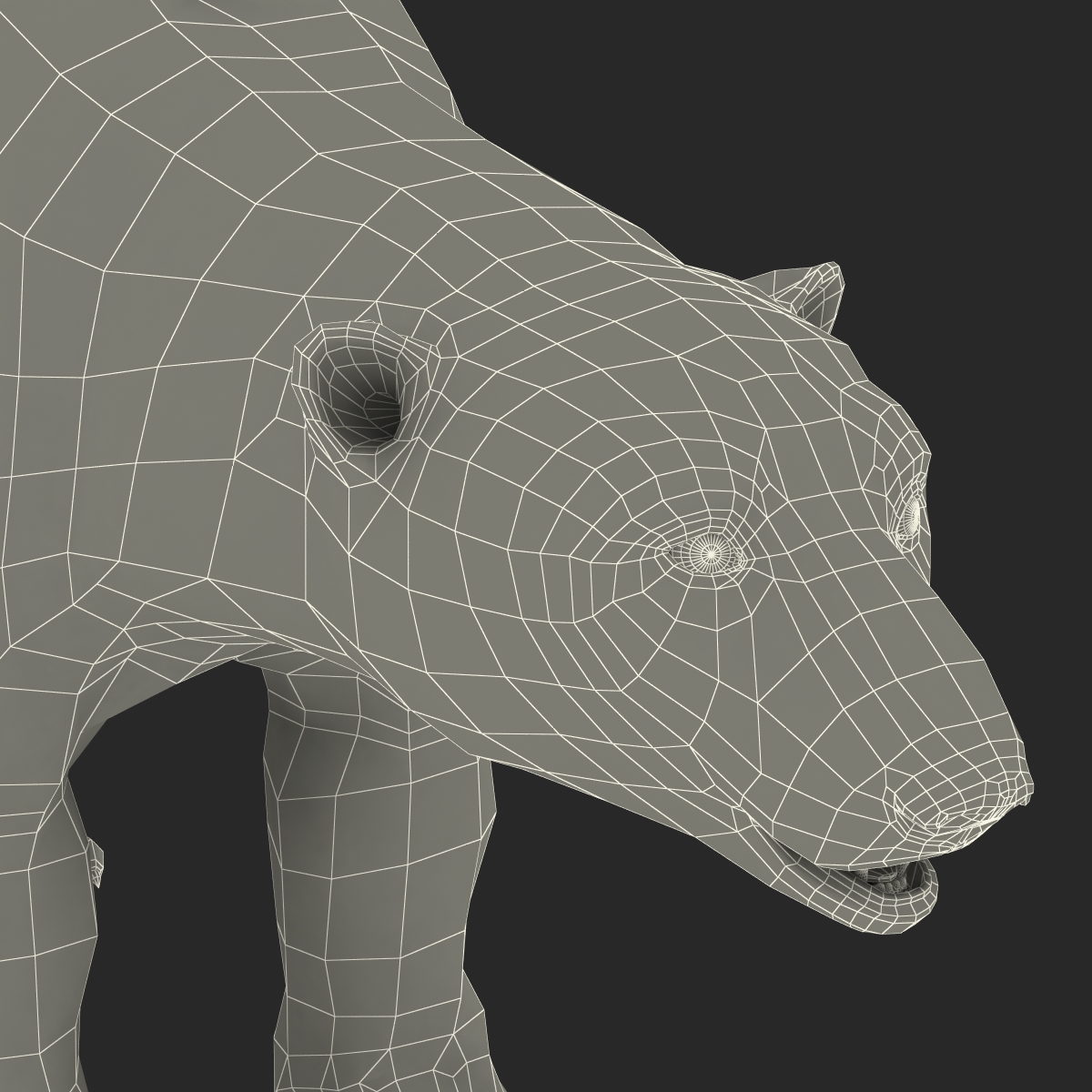 Polar Bear with Fur 3D model