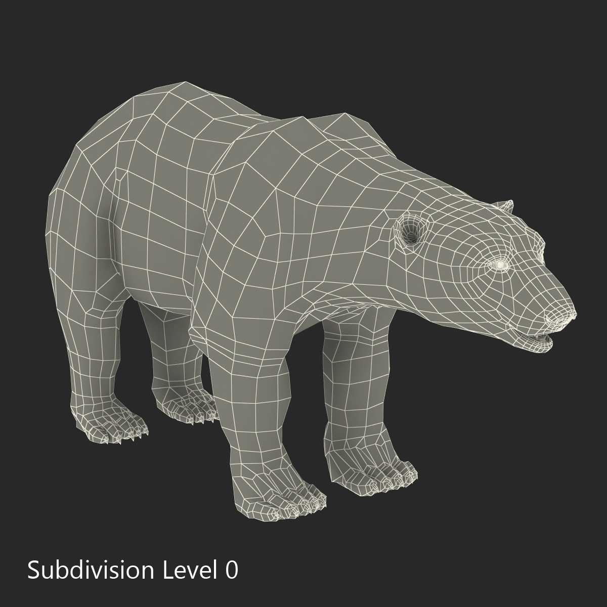 Polar Bear Rigged 3D