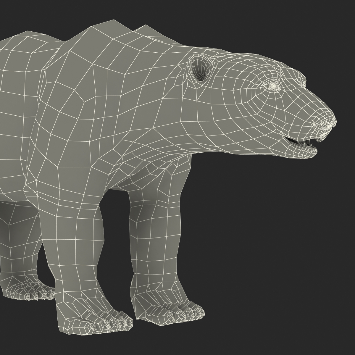 Polar Bear Rigged 3D