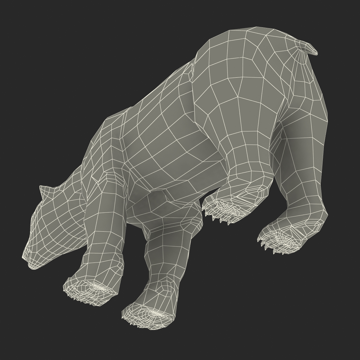 3D model Polar Bear