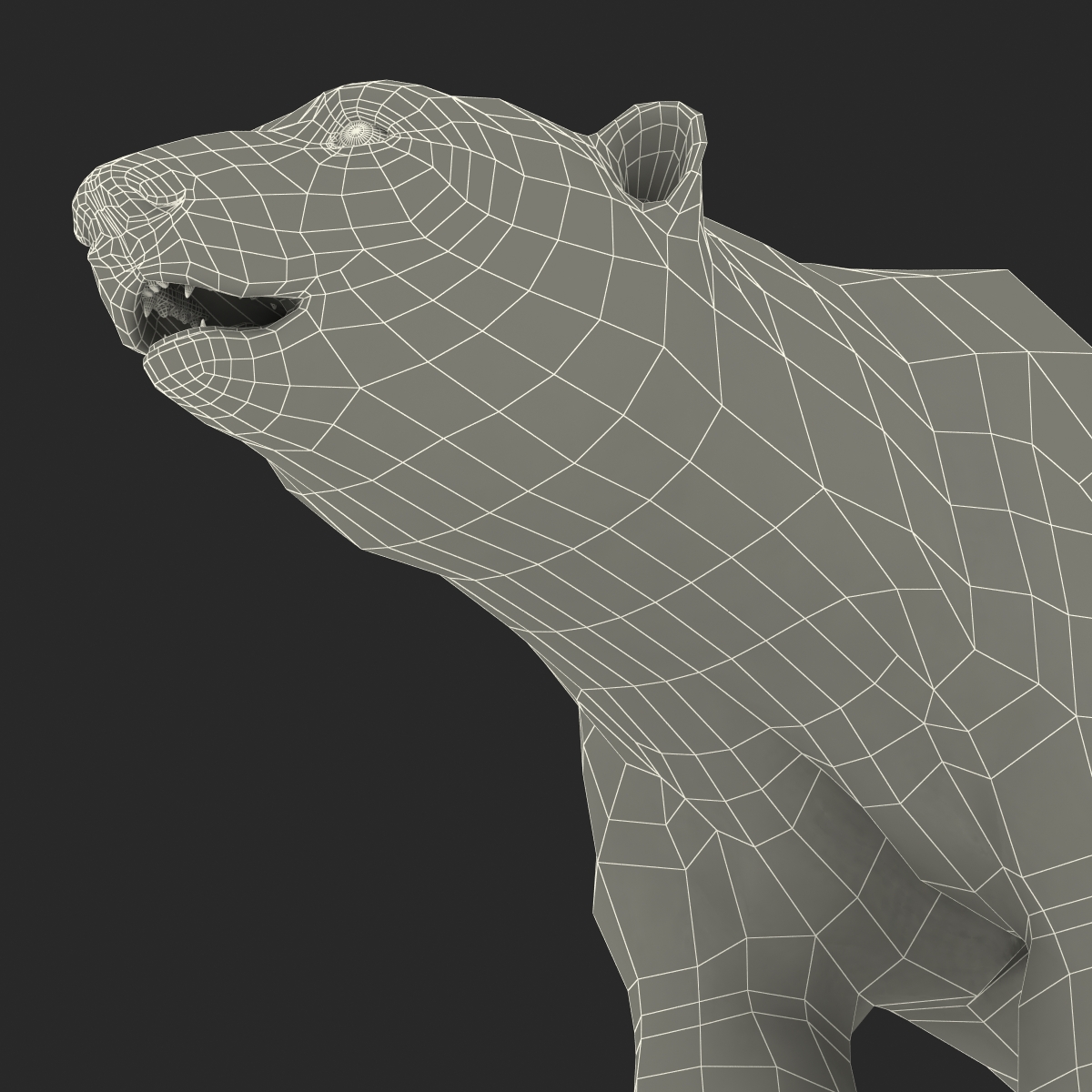 3D model Polar Bear