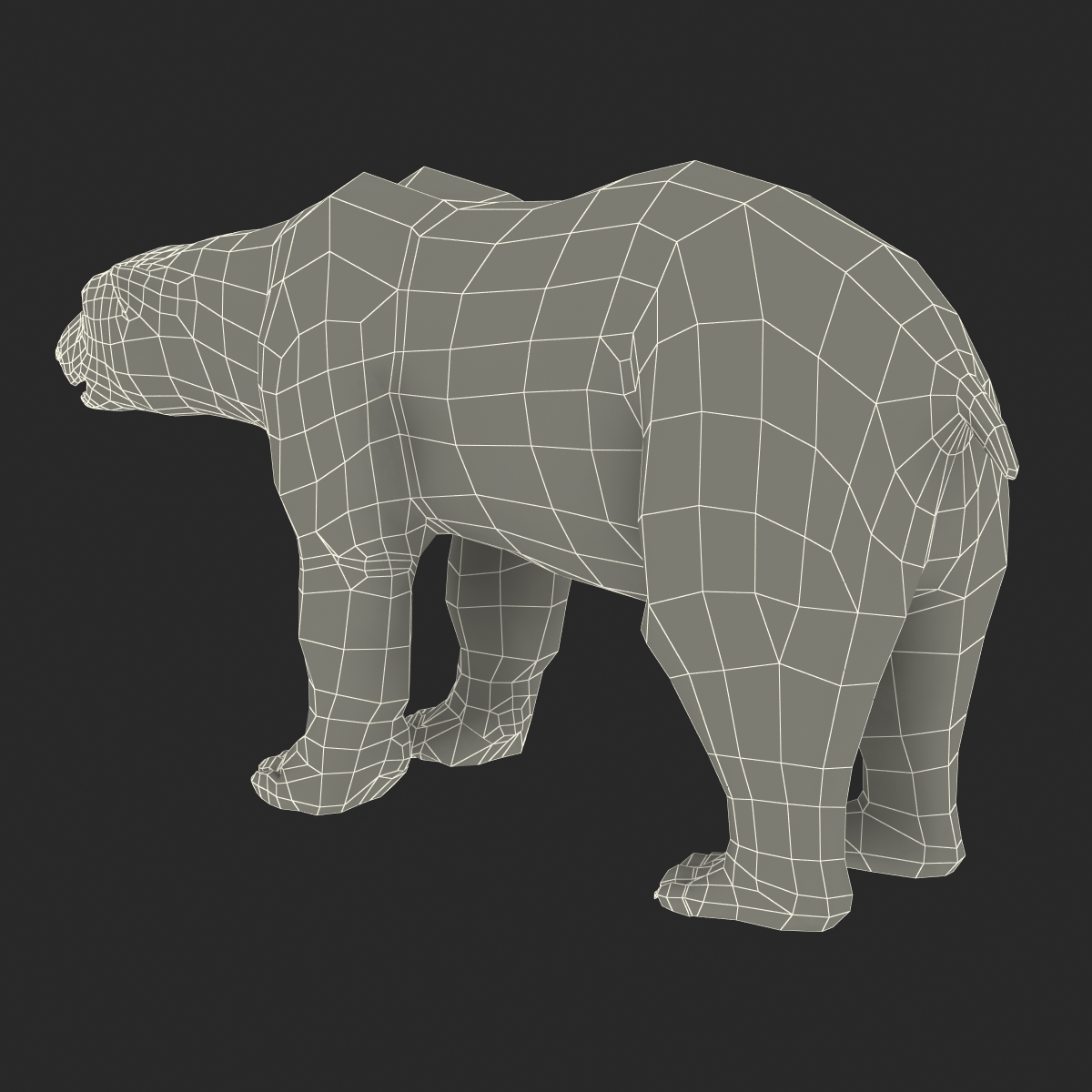 Polar Bear Pose 2 3D