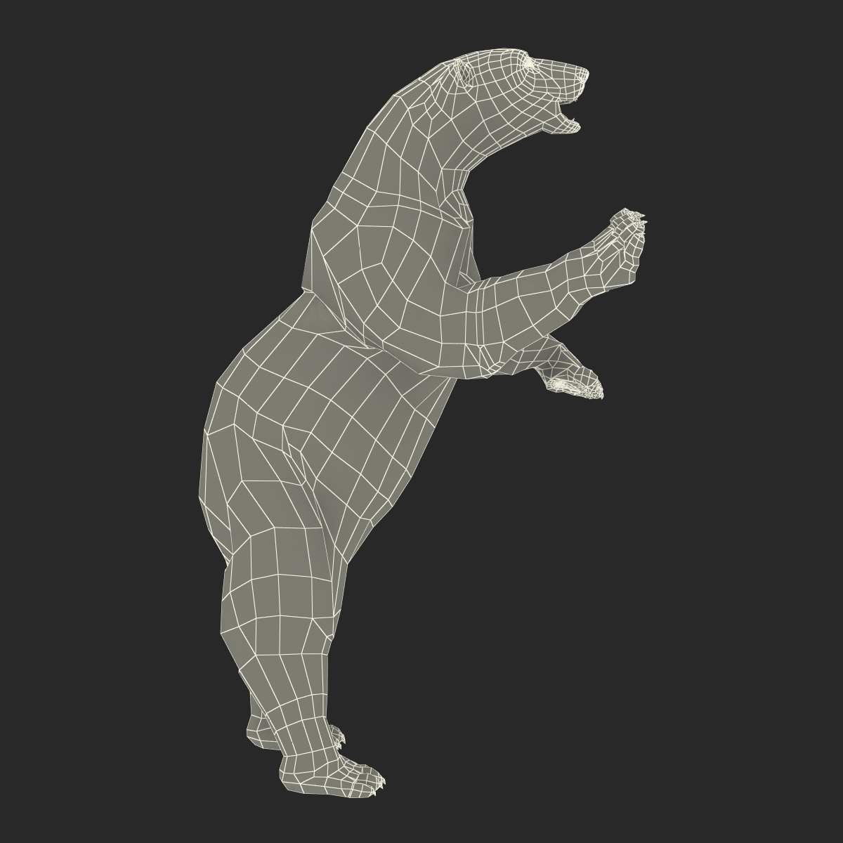 Polar Bear Pose 3 3D