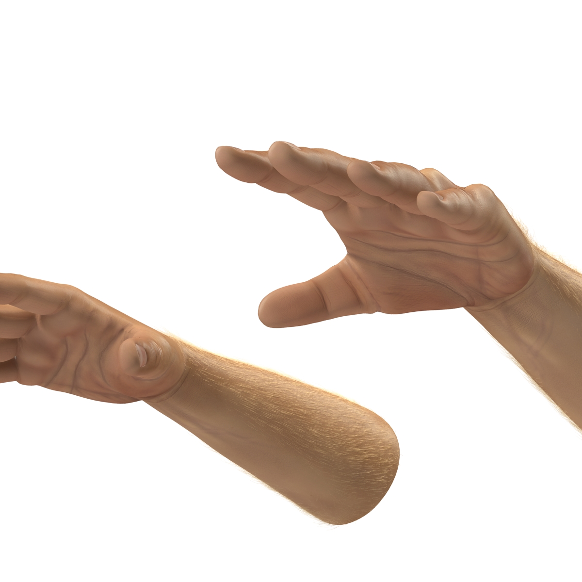 3D model Man Hands 2 with Fur