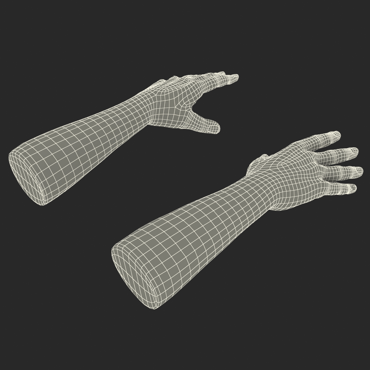 3D model Man Hands 2 with Fur