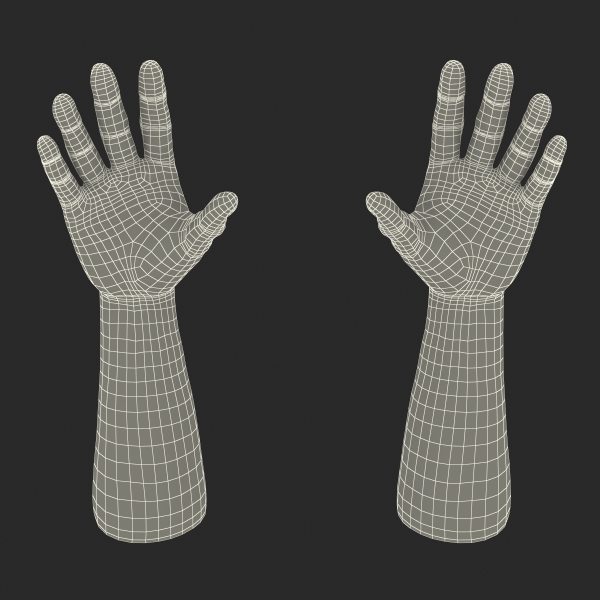 3D model Man Hands 2 with Fur