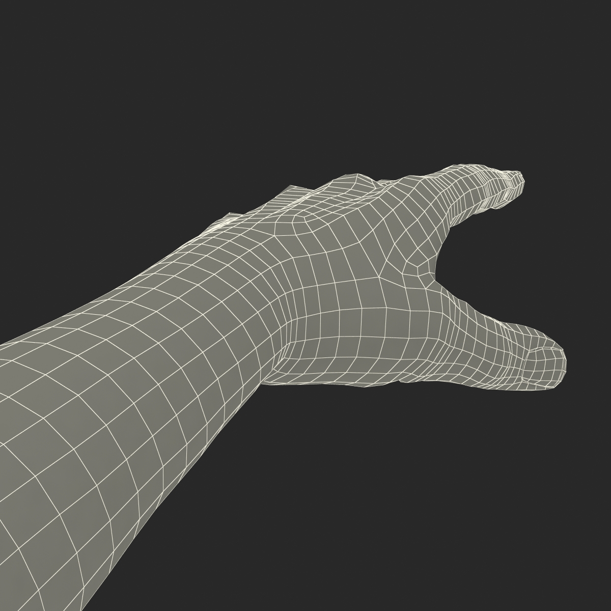 3D model Man Hands 2 with Fur