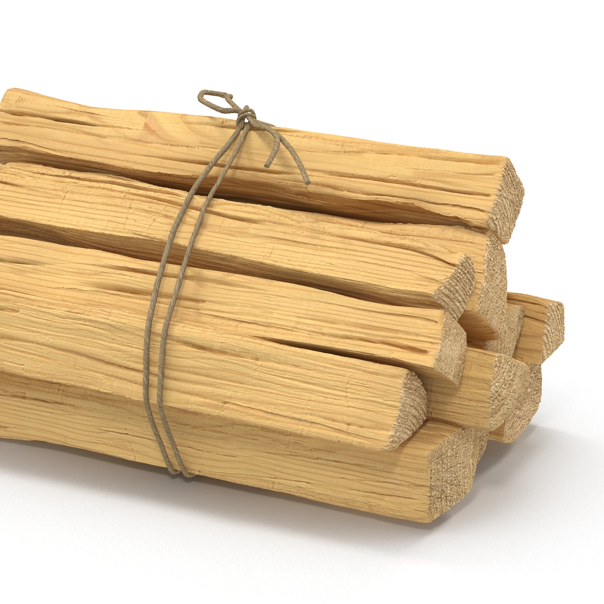 3D Bundle of Kindling Wood model