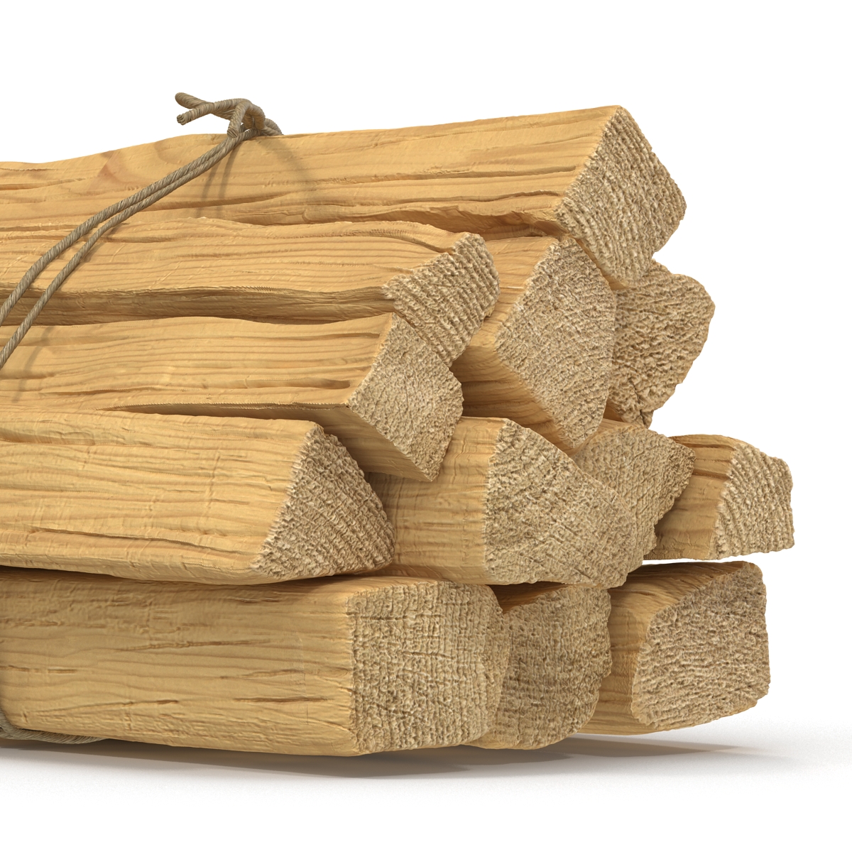 3D Bundle of Kindling Wood model