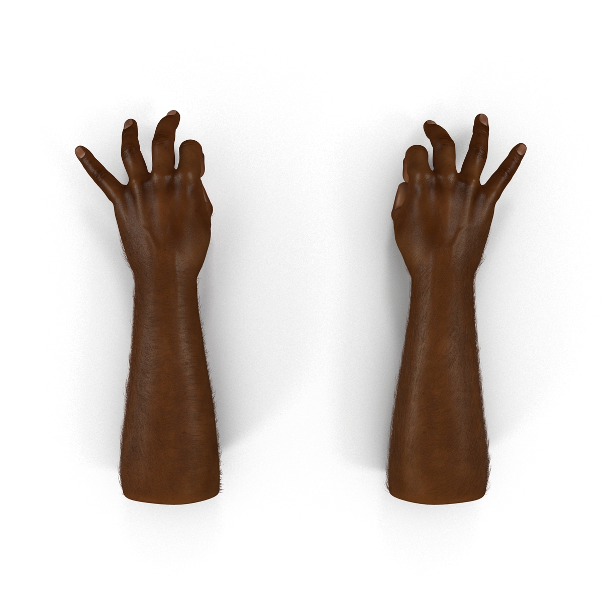 3D African Man Hands with Fur Pose 5 model