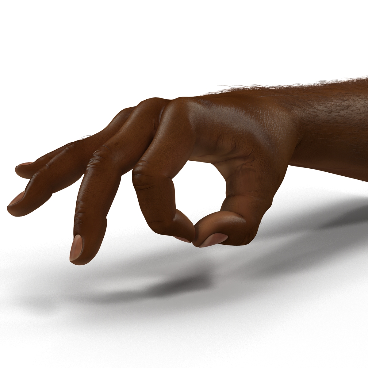 3D African Man Hands with Fur Pose 5 model