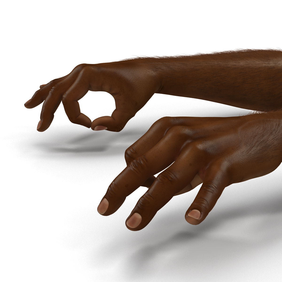 3D African Man Hands with Fur Pose 5 model