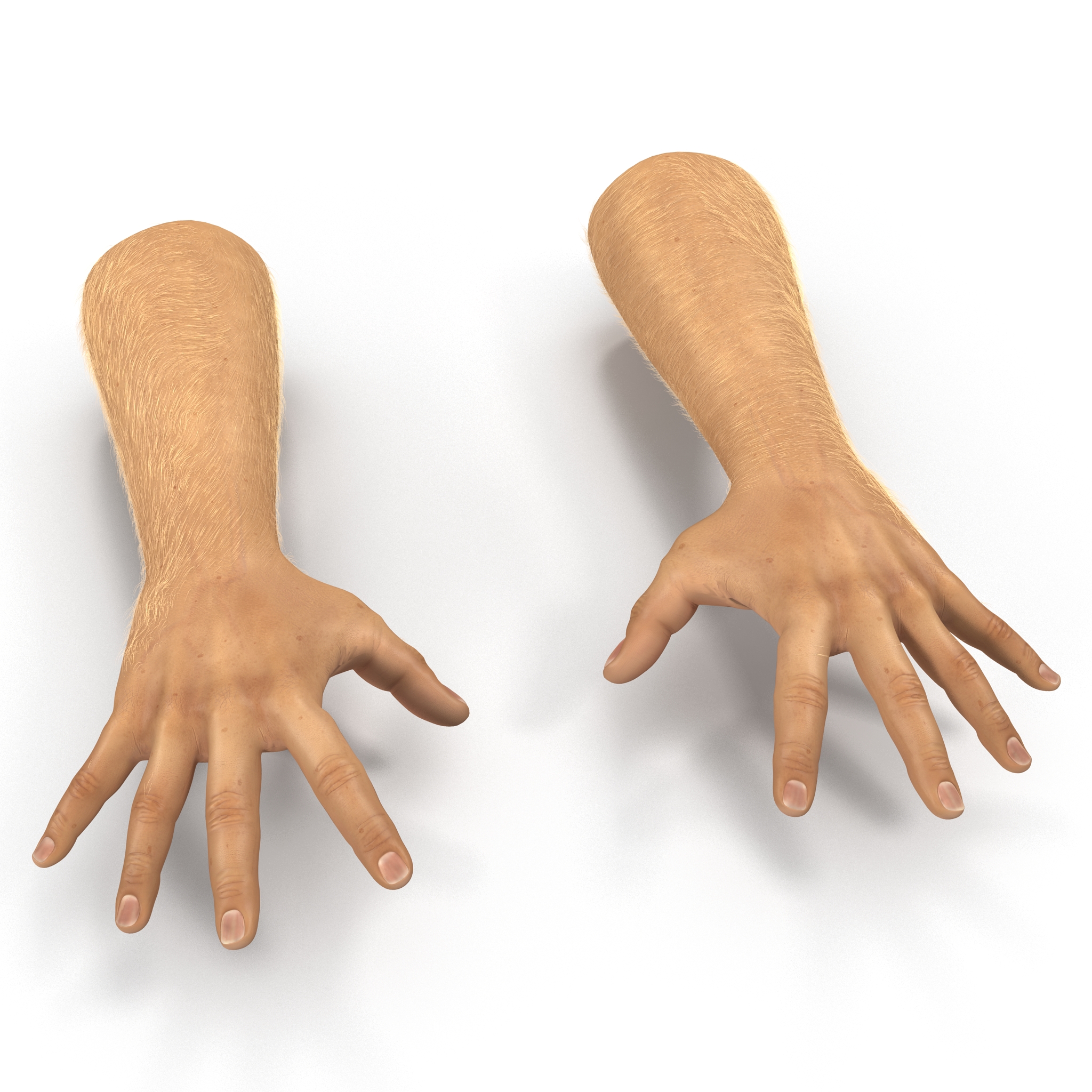 Man Hands 2 with Fur Pose 4 3D