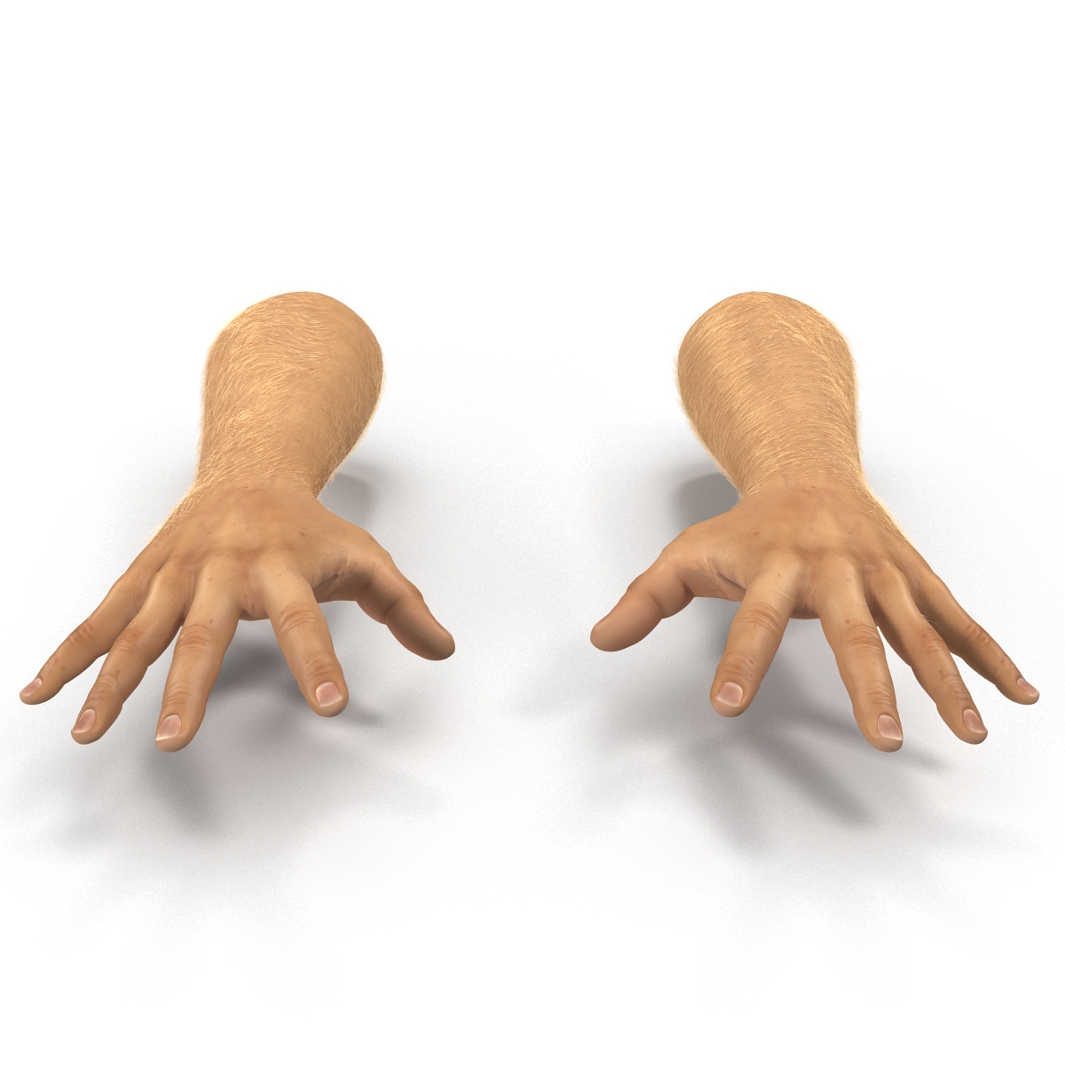 Man Hands 2 with Fur Pose 4 3D